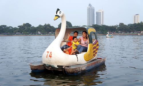 Cygne sur le lac de l'Ouest